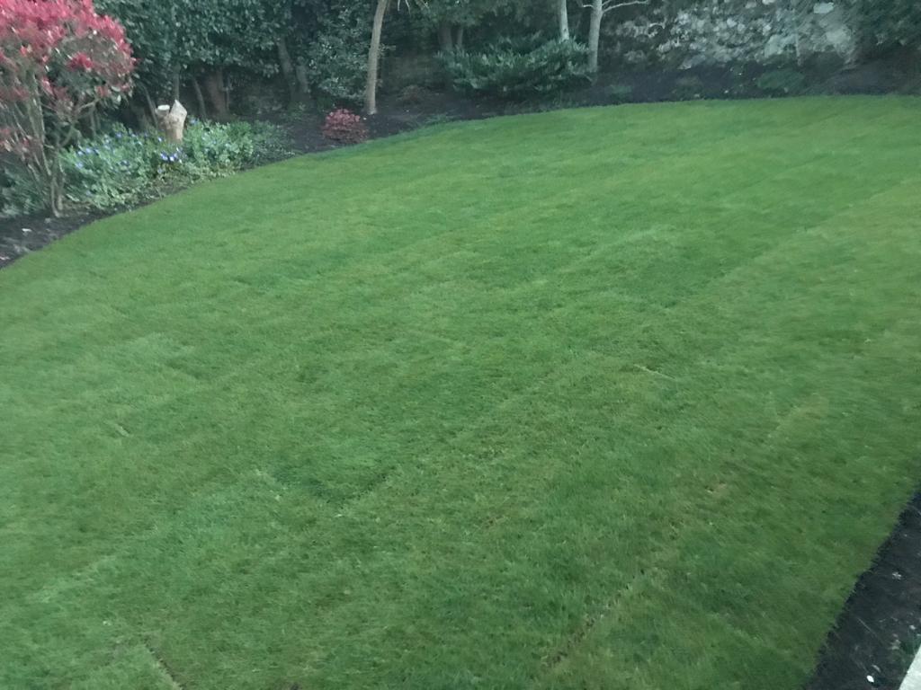 Turf